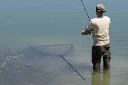 Spring Bow net 6' 42in