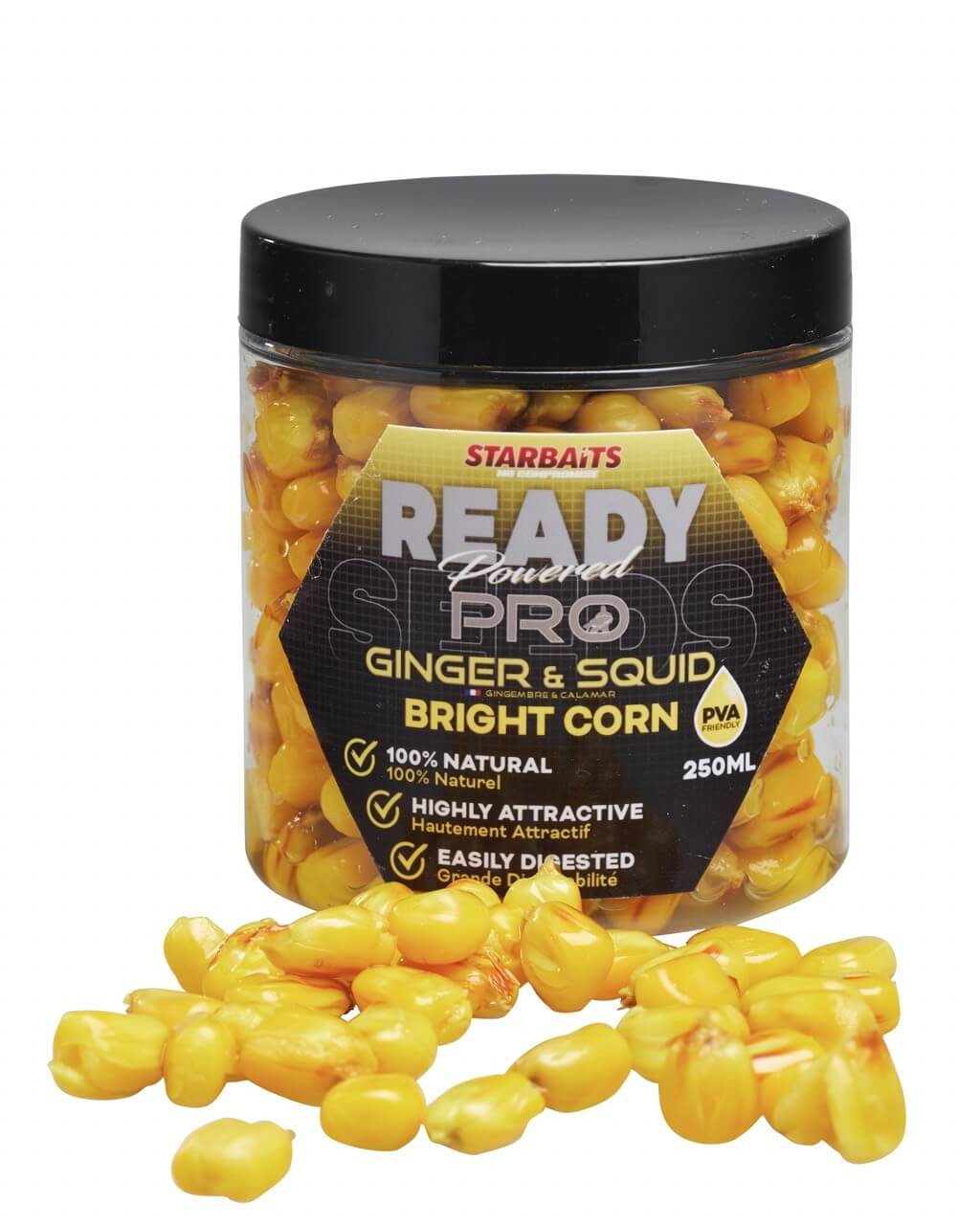 Ginger Squid Bright Corn