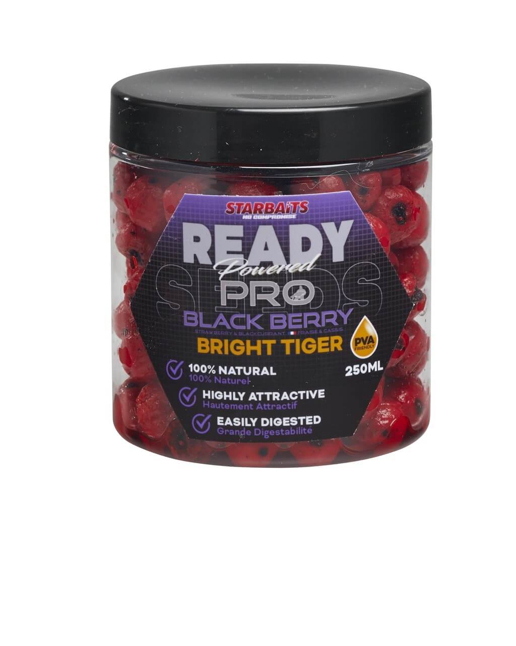 Blackberry Bright Tigers