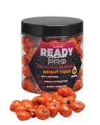 Peach & Mango Bright Tigers