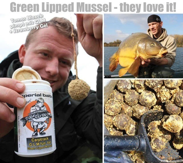 Carptrack GLM Full Fat Powder 100g