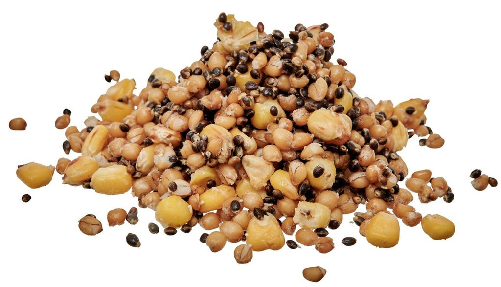 Ready Seed Spod Mix 1 kg