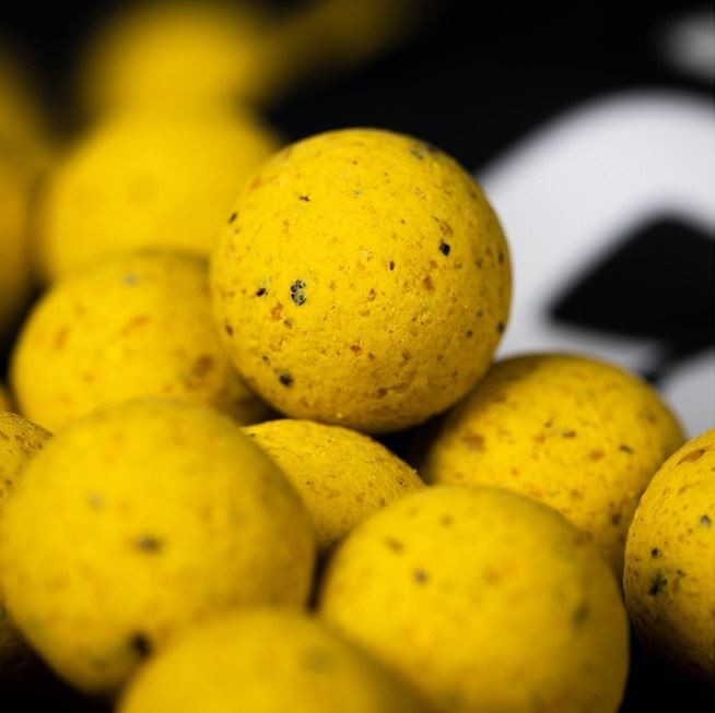 Boilies Essential Cell 10mm - 1kg