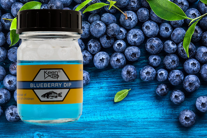 Blueberry Dip 40 ml