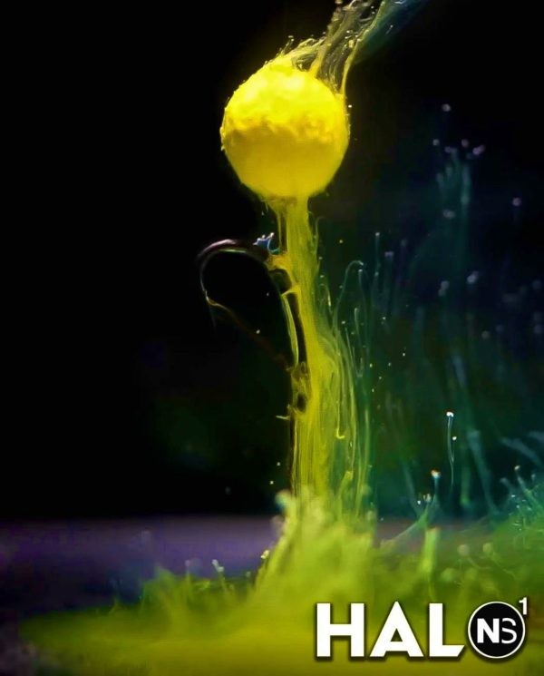 NS1 Halo Yellow