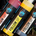 Follow Up Strawberry Asa