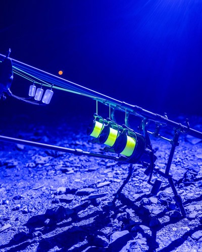 Powerbanx UV Headtorch