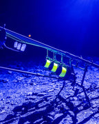 Powerbanx UV Headtorch