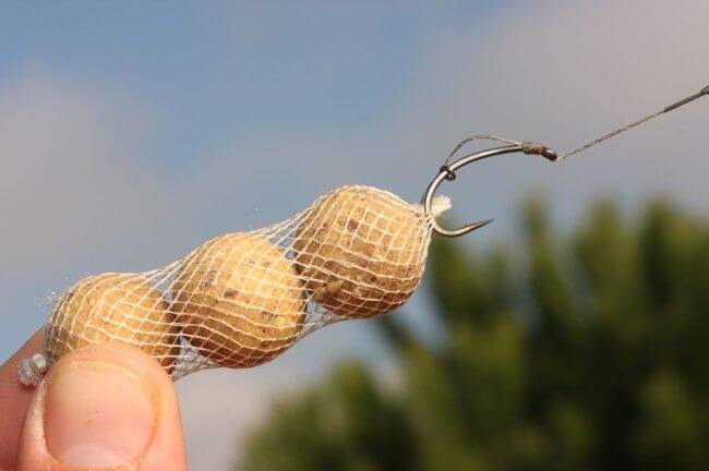 Original Funnel Web 35 mm