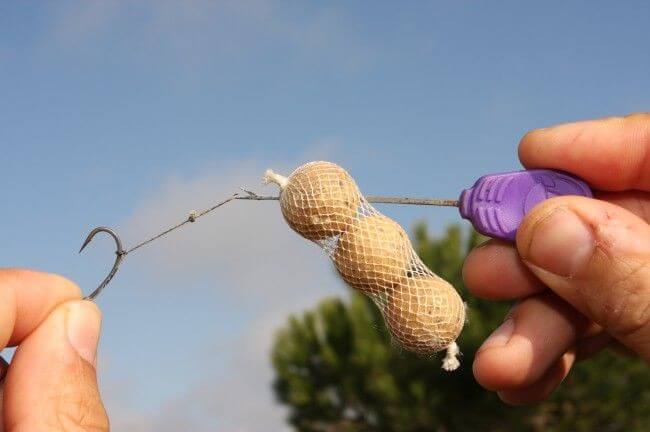 Original Funnel Web 35 mm