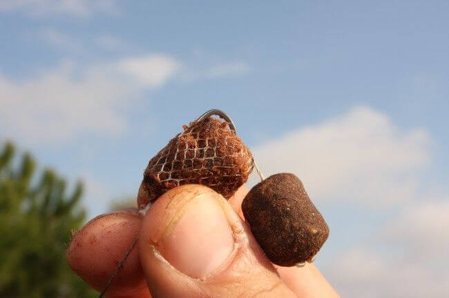 LongChuch Funnel Web 15 mm