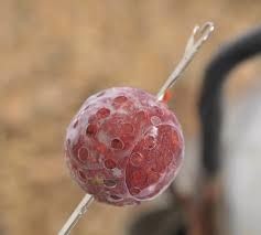 Korda Super wrap 22 mm