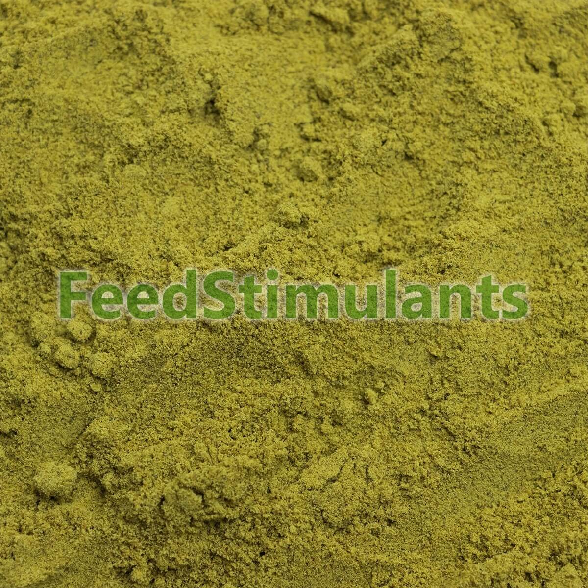 Farina di zucca (Pumpkin Seed Protein) 1 Kg