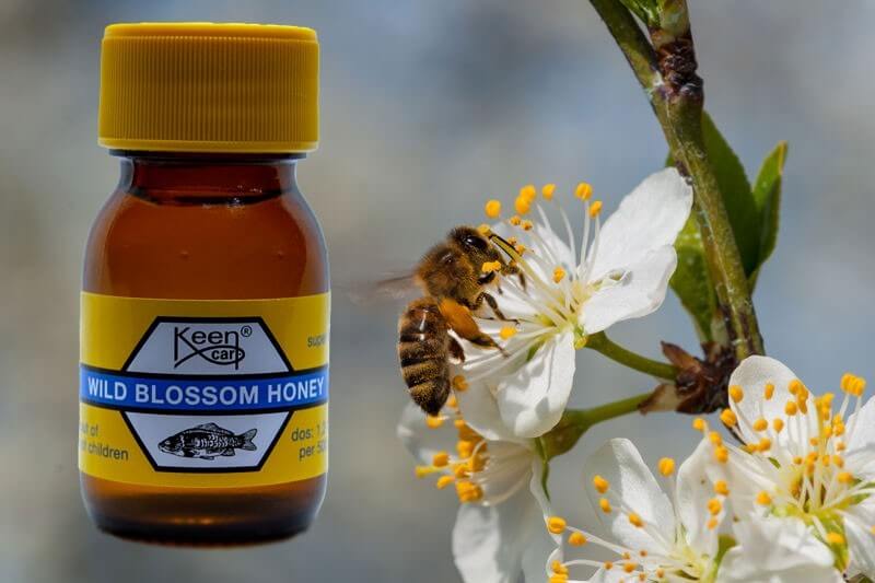 Wild Blossom Honey 30 ml