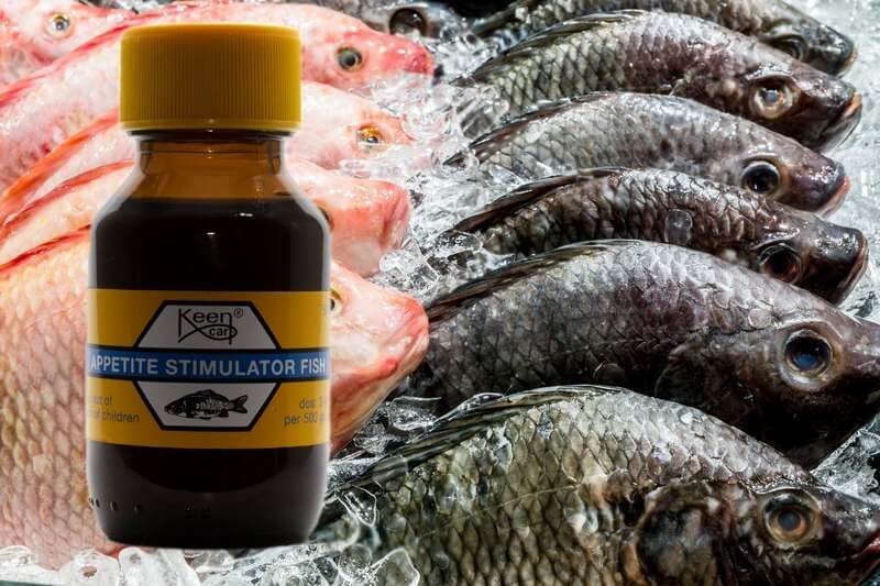 Appetite Fish 50 ml
