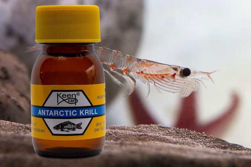 Antarctc Krill 30 ml