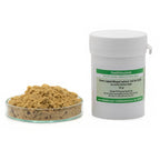 Green lipped mussel full fat 250 g