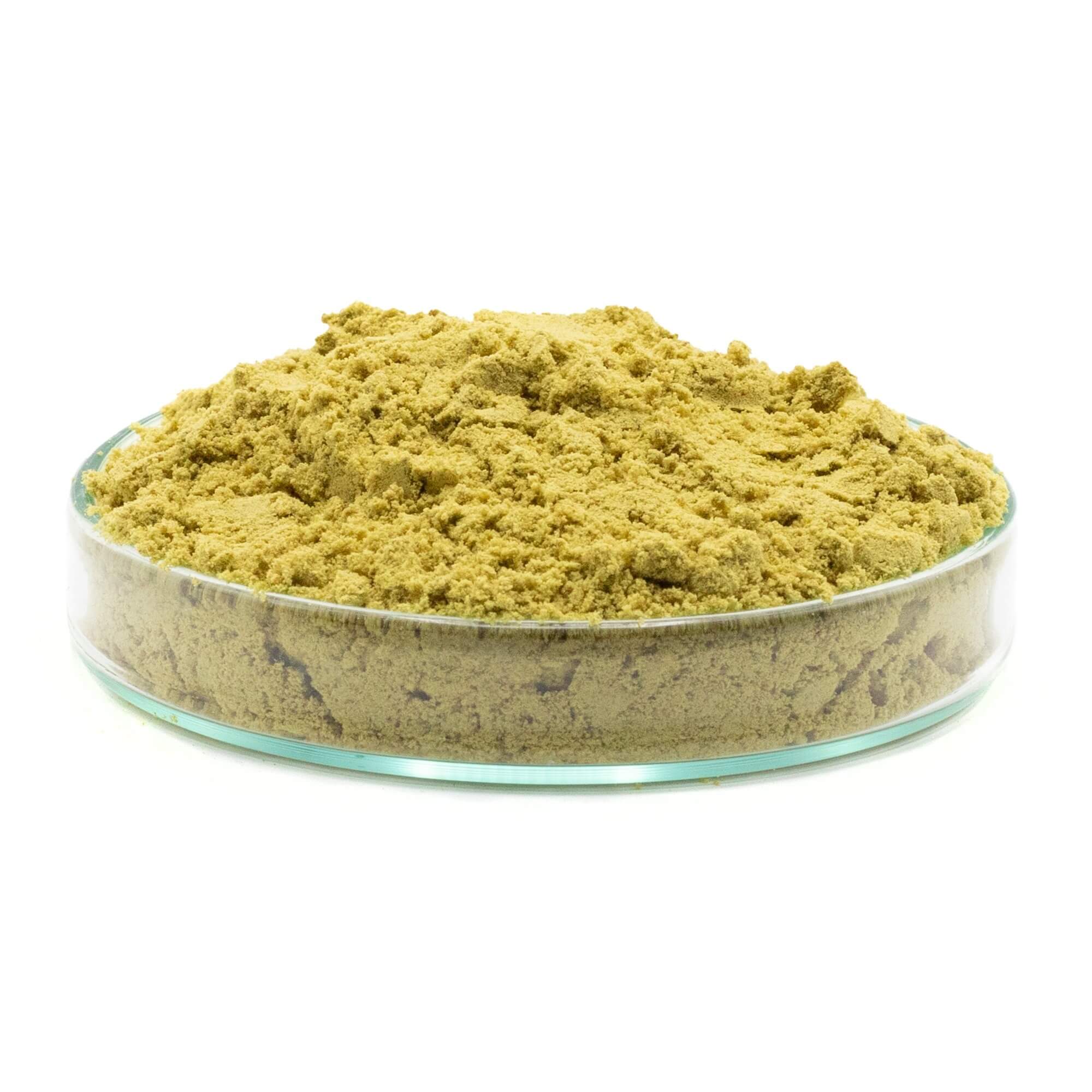 Farina di zucca (Pumpkin Seed Protein) 1 Kg