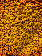 Lobster Spice Speed Line Pellets