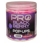 Probiotic Pop Ups Blackberry