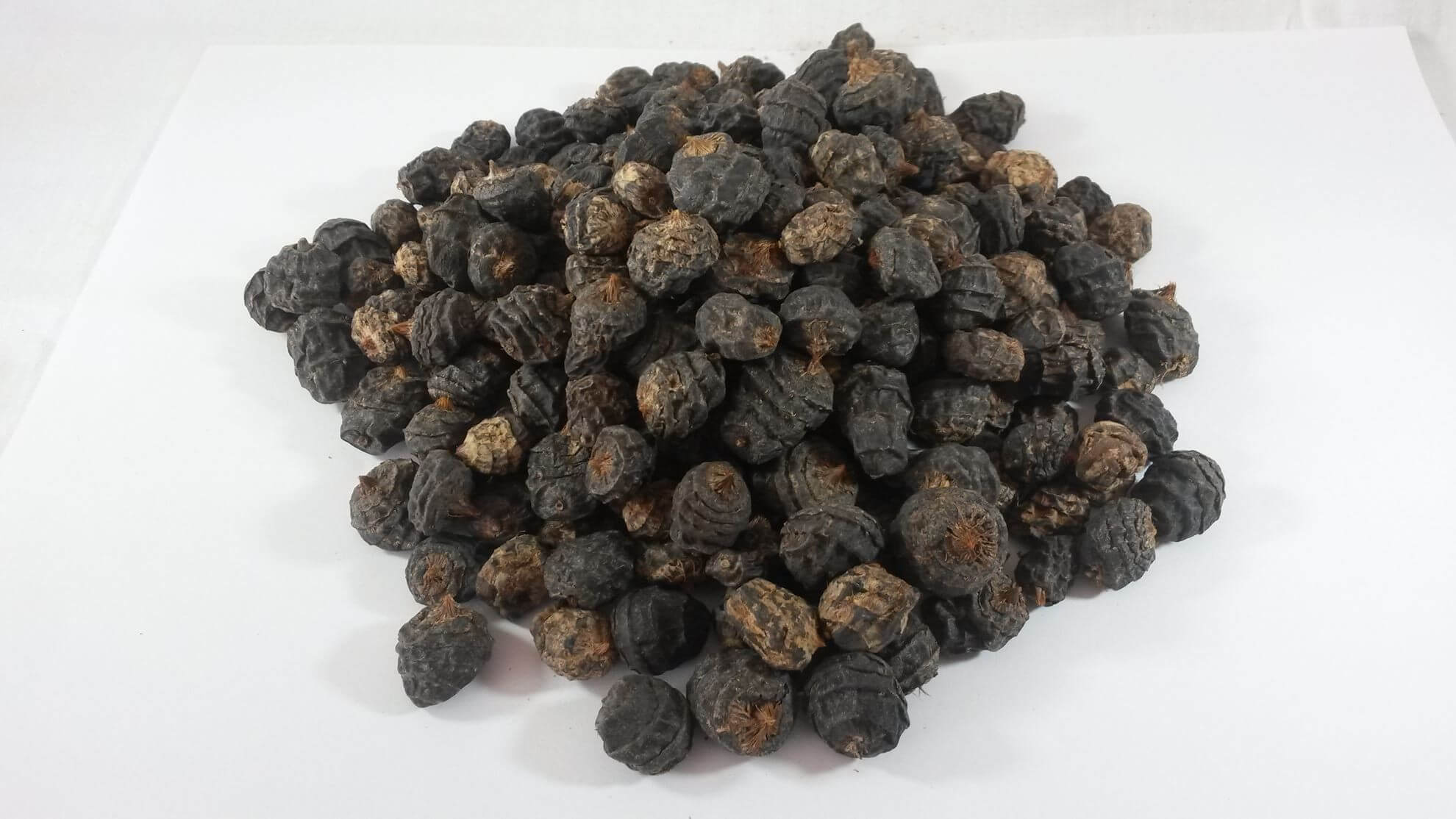 Tigernut Black