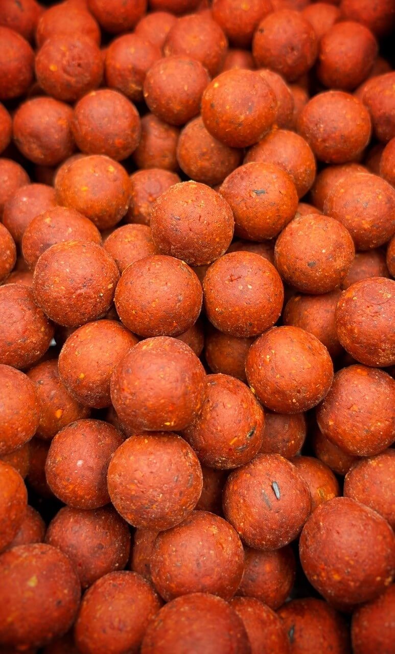 Lobster Spice Speed 1kg