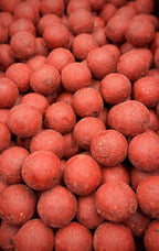 Squid Peach Speed 1kg