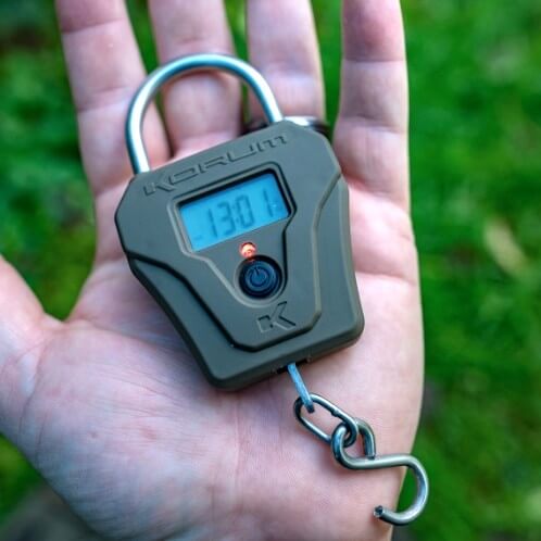 Compact Digital Scales