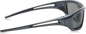 Sunglasses Biomaster