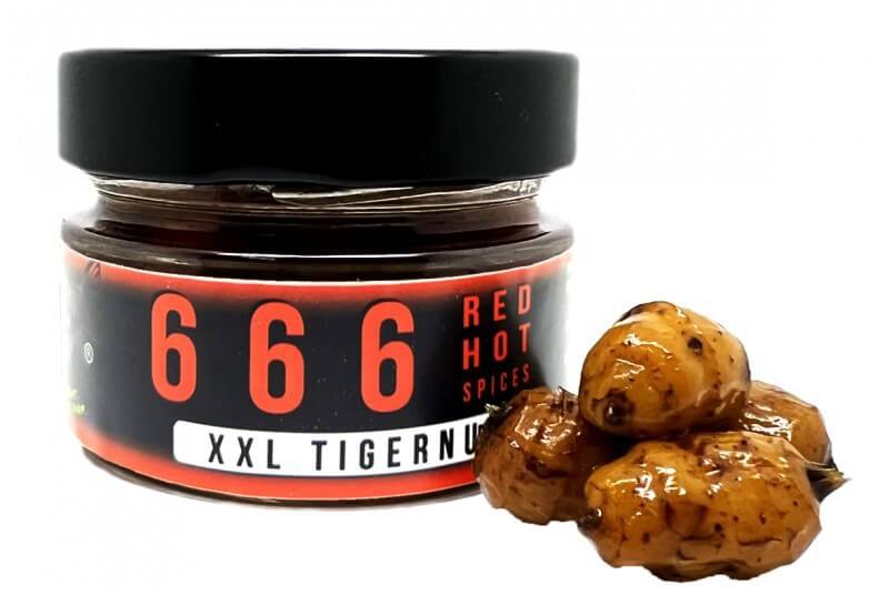 666 Red Hot XXL Tigernut