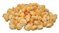 Ready Seeds Hot Demon Corn