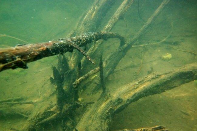 Kable XT Extreme Leadcore 70 lb 15 m Weed