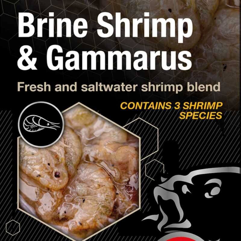 Brine Shrimp And Gammarus
