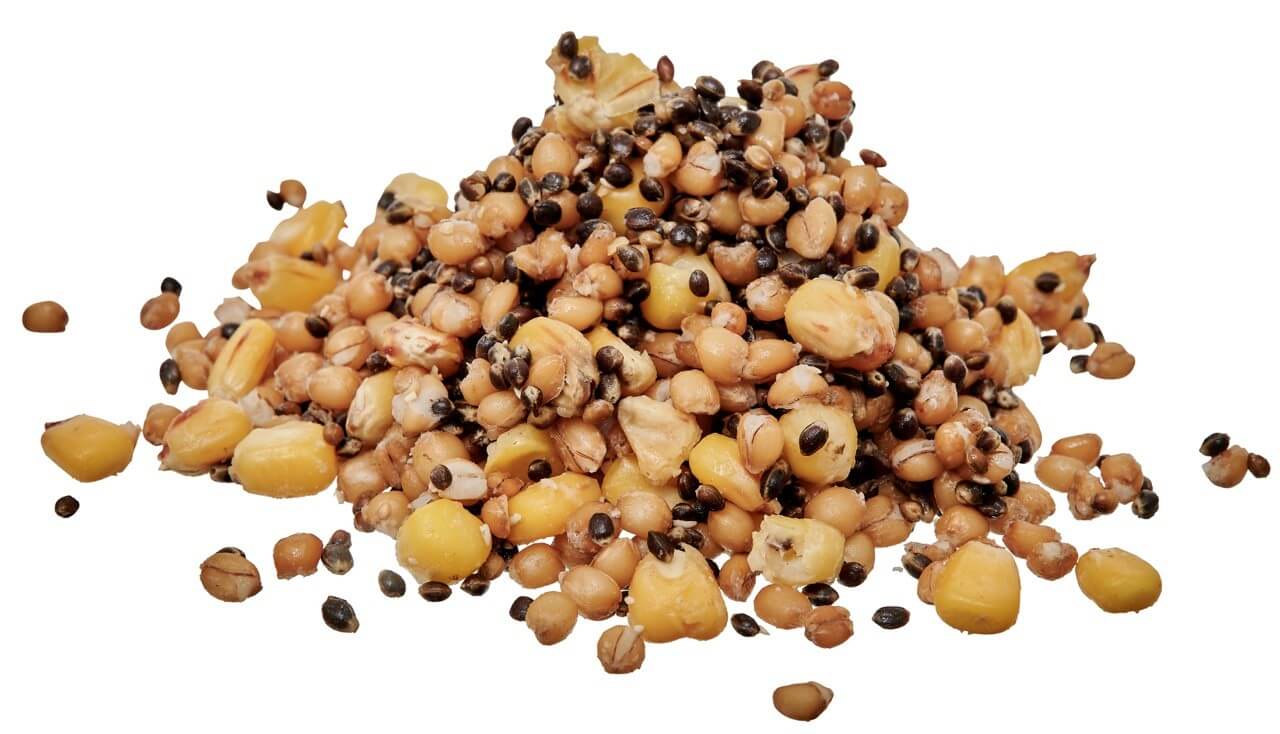 Seedy Spod Mix 3 kg