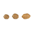 Fake Tigernuts