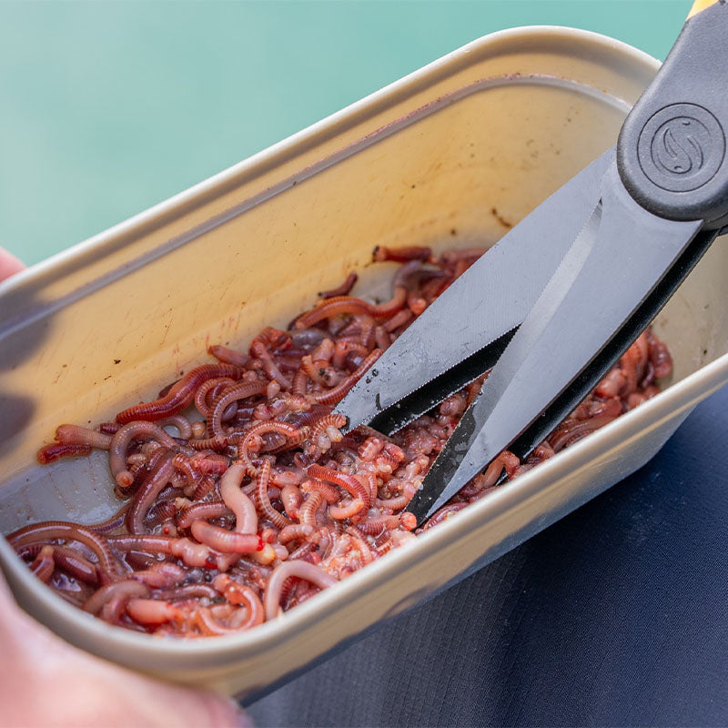 Worm Scissors