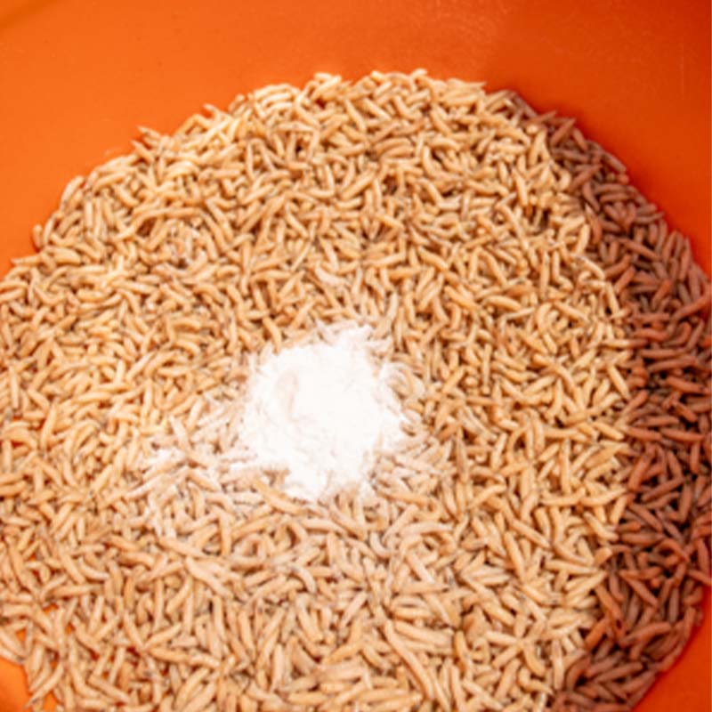 Maggot Glue